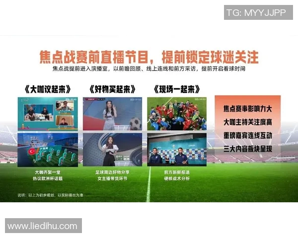 欧洲杯赛事市场营销与商业价值研究