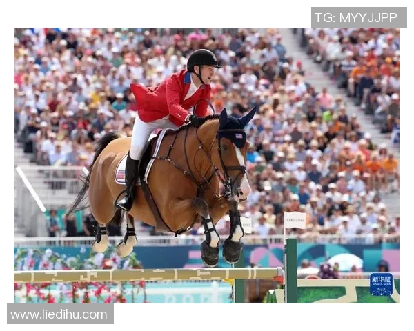 奥运马术赛中国组合晋级决赛，首战即惊艳全场